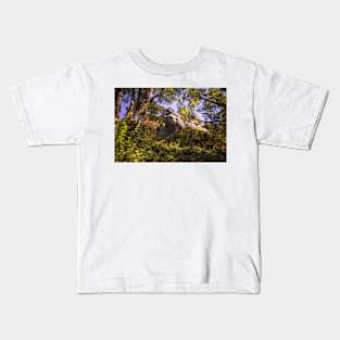 Looking up at Lookout Rock Kids T-Shirt